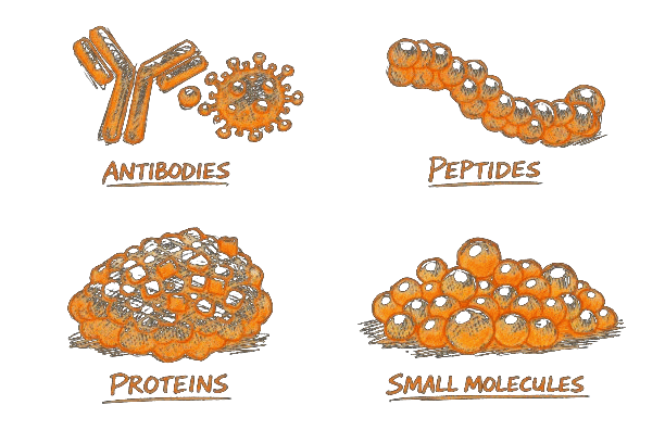 Antibodies, Peptides, Proteins, Small Molecules